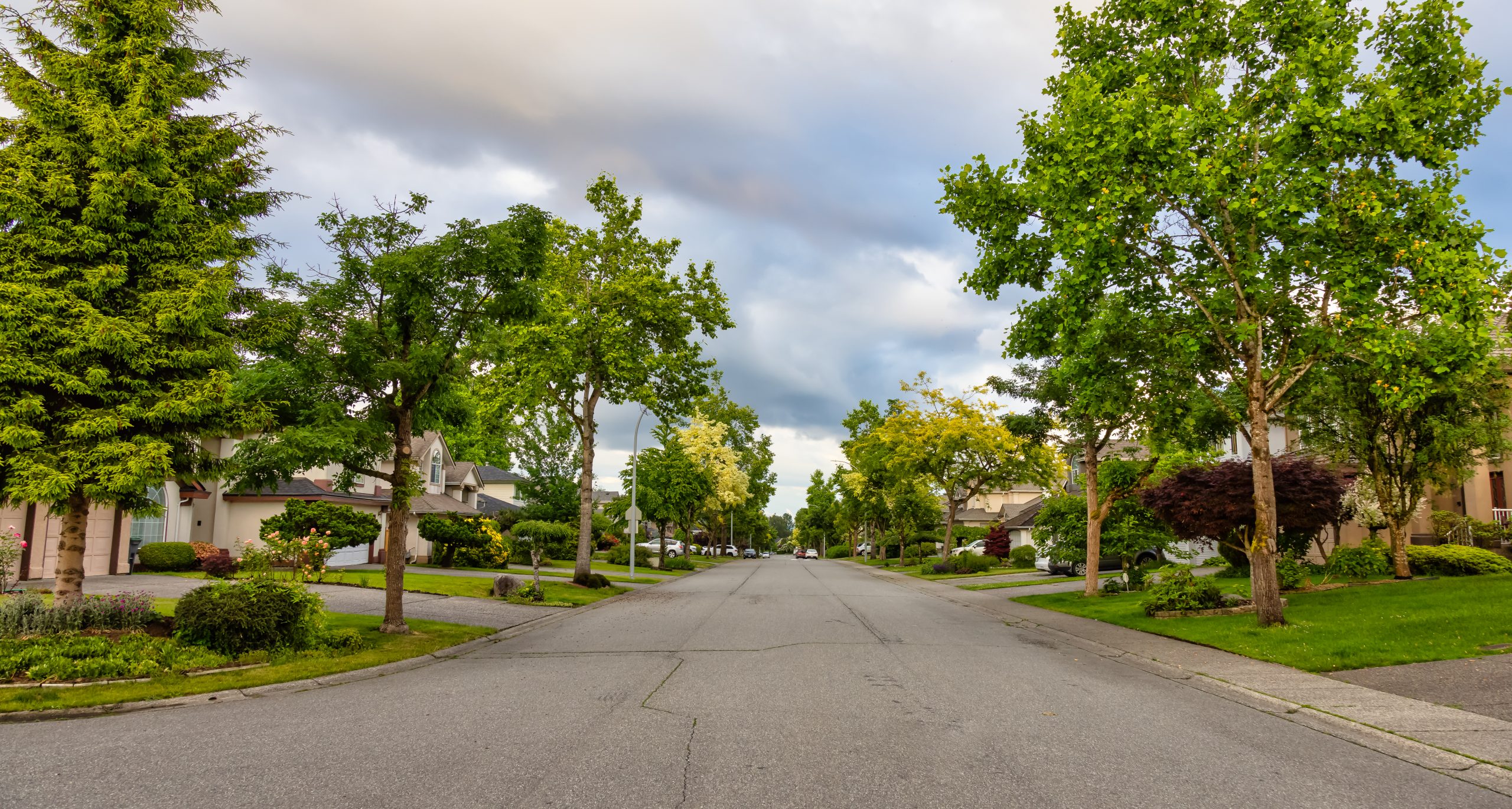 Neighborhood driveways