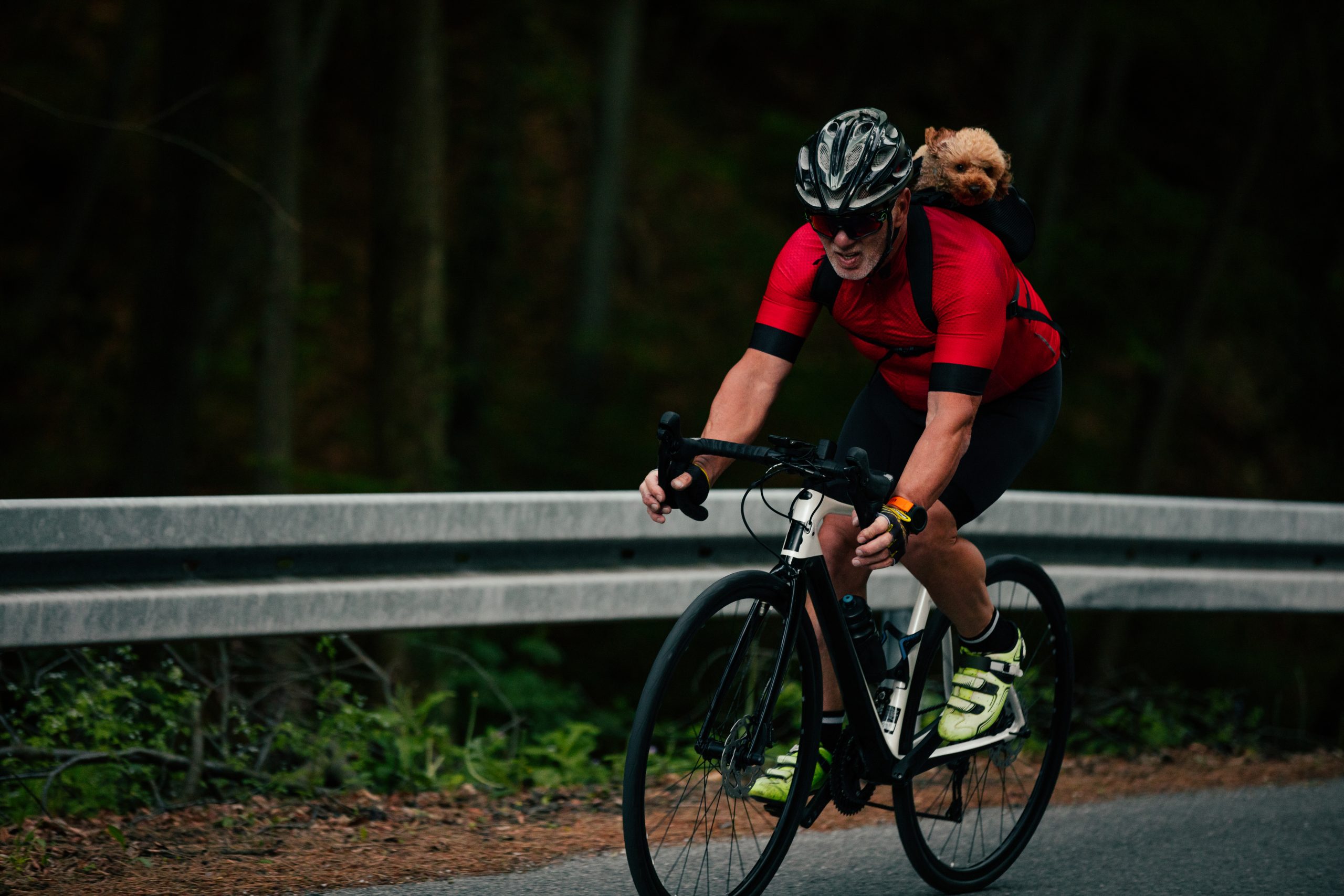 Man and dog on bicycle